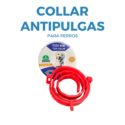 Collar Antipulgas