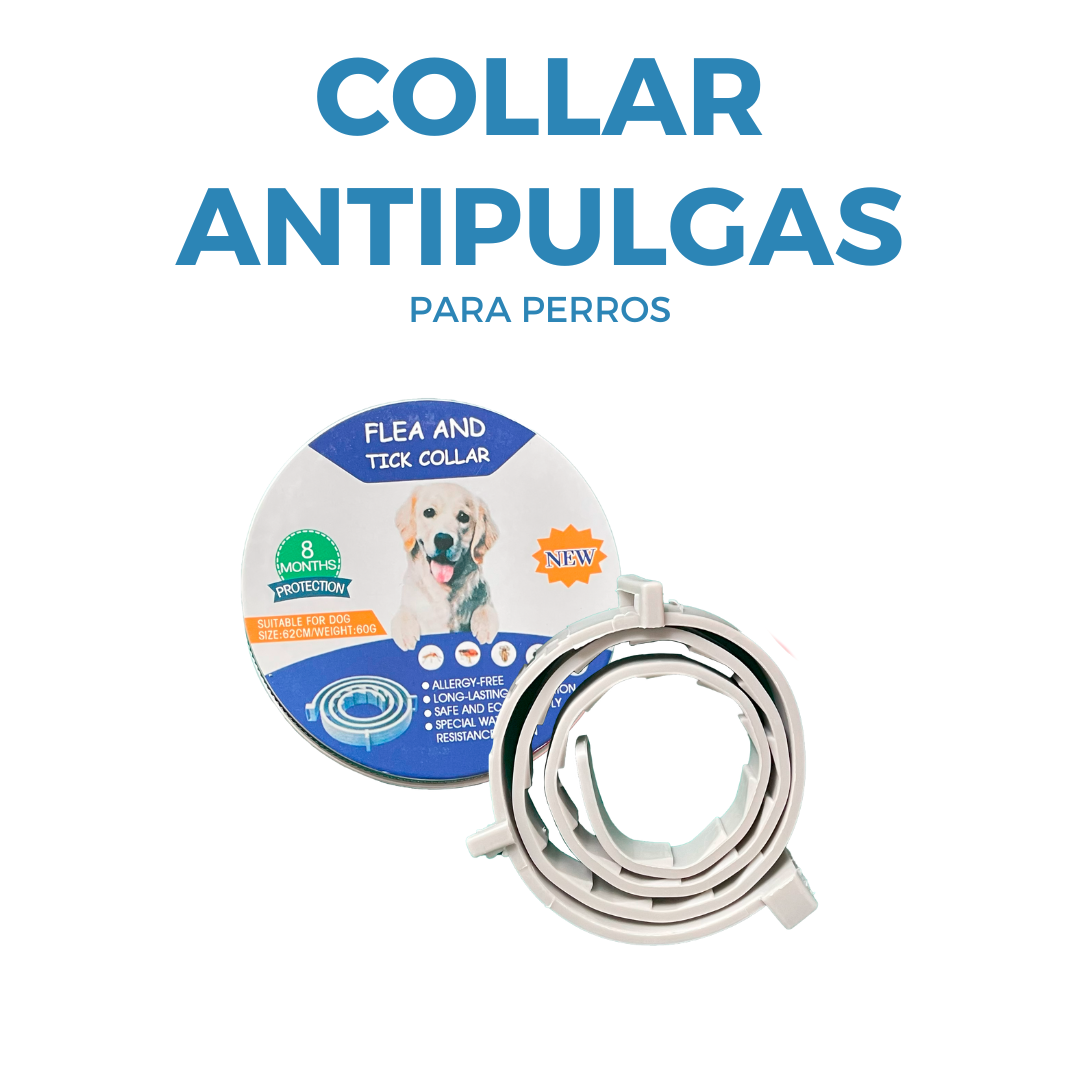 Collar Antipulgas