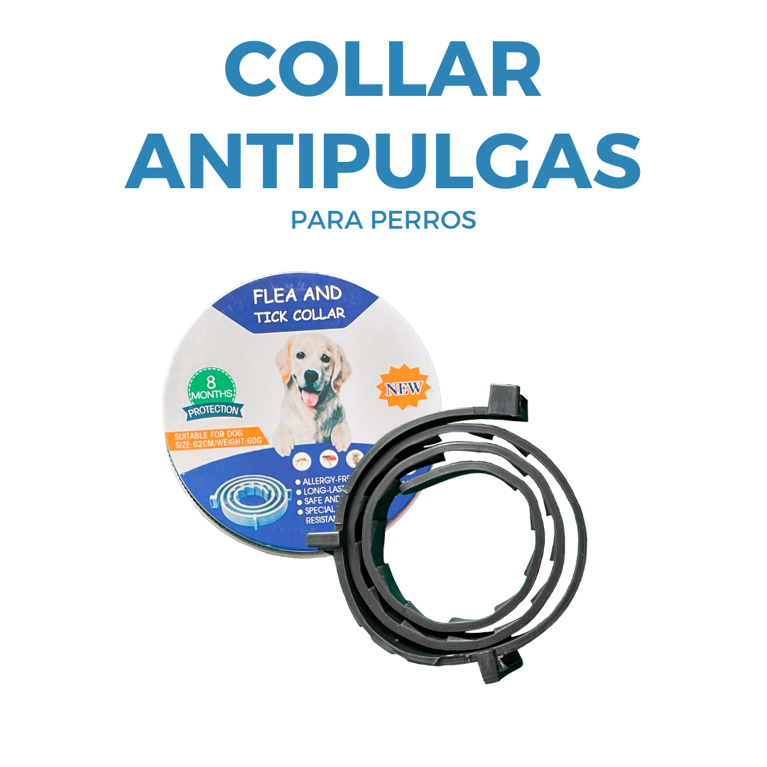 Collar Antipulgas