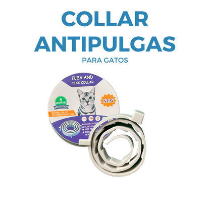 Collar Antipulgas